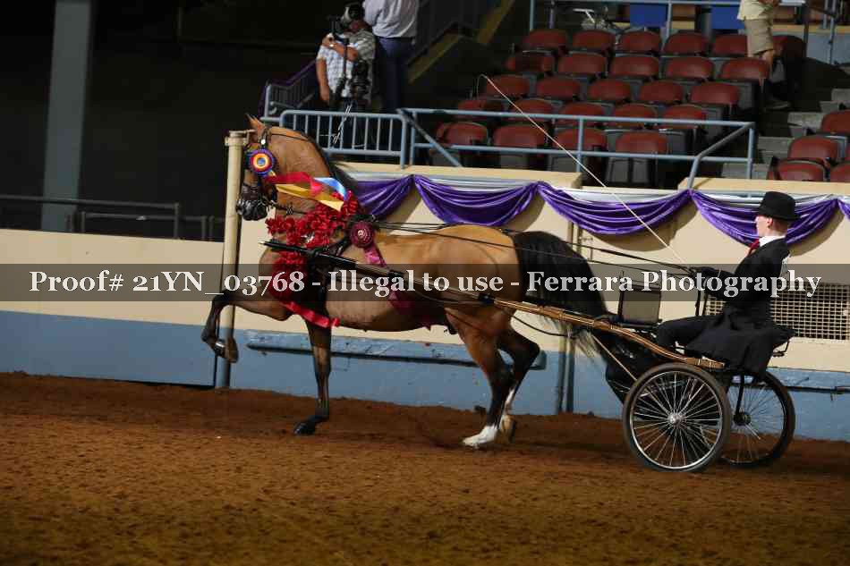 Proof Number 21YN_03768