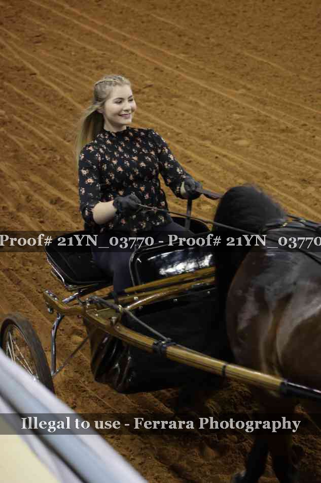 Proof Number 21YN_03770
