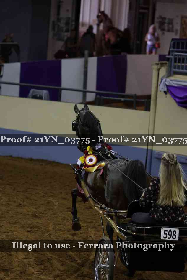 Proof Number 21YN_03775