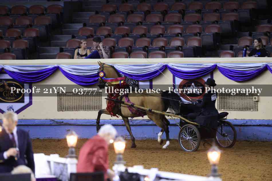 Proof Number 21YN_03777