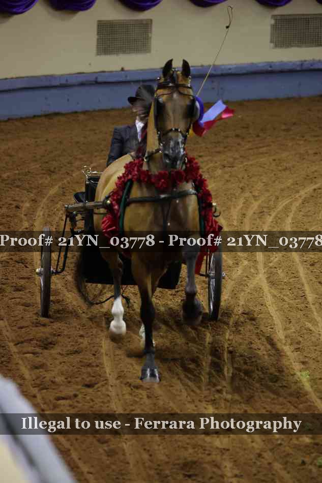 Proof Number 21YN_03778