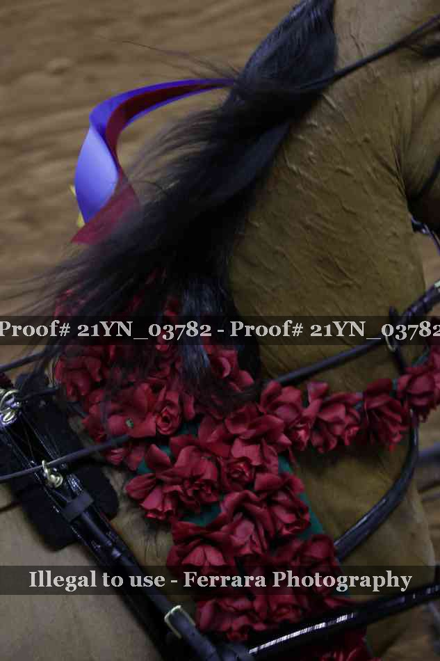 Proof Number 21YN_03782