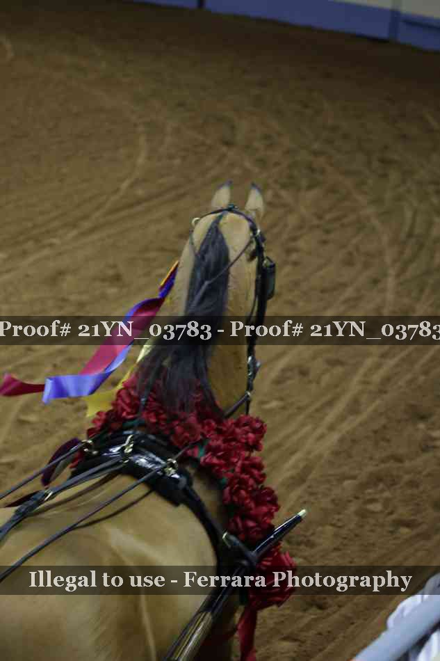 Proof Number 21YN_03783