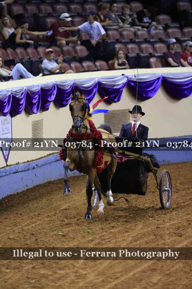 Proof Number 21YN_03784