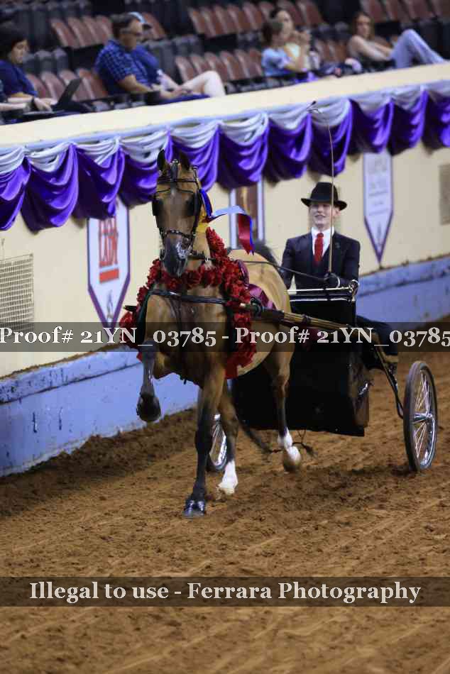 Proof Number 21YN_03785