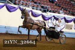 21YN_32664 thumbnail