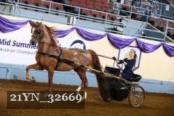 21YN_32669 thumbnail