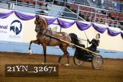 21YN_32671 thumbnail