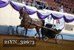 21YN_32673 thumbnail