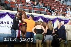 21YN_32675 thumbnail