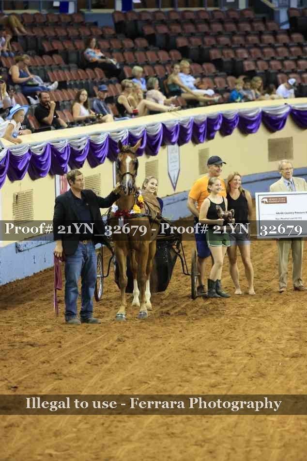 Proof Number 21YN_32679