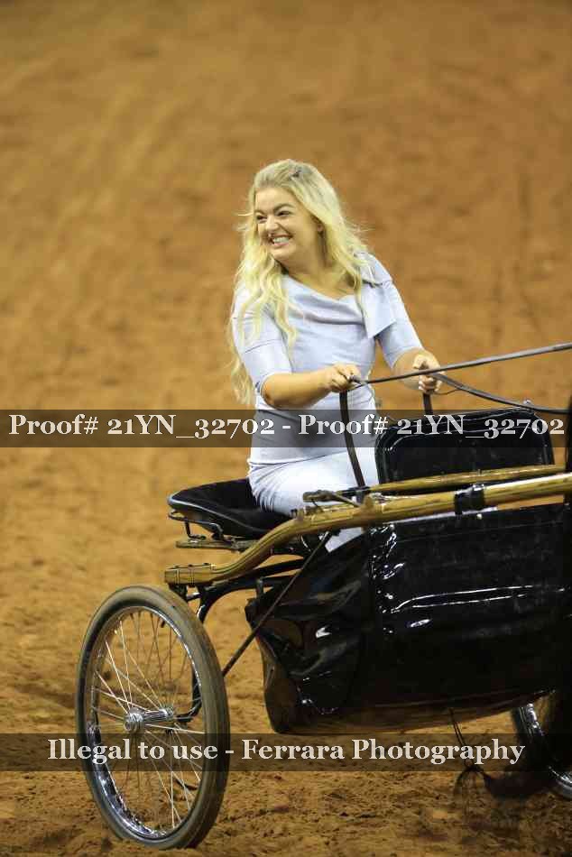 Proof Number 21YN_32702
