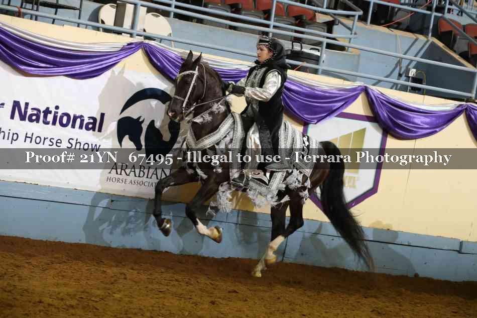 Proof Number 21YN_67495