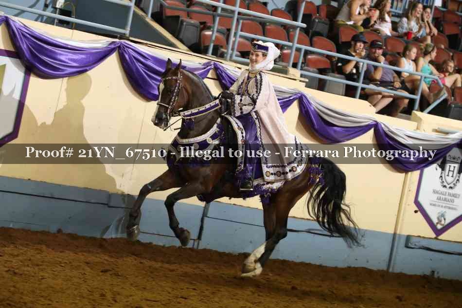 Proof Number 21YN_67510