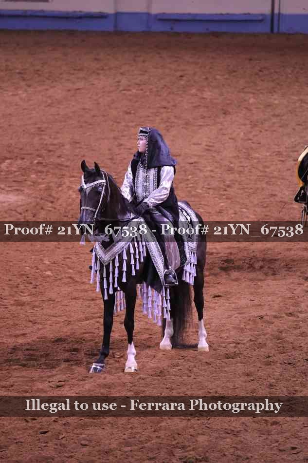 Proof Number 21YN_67538