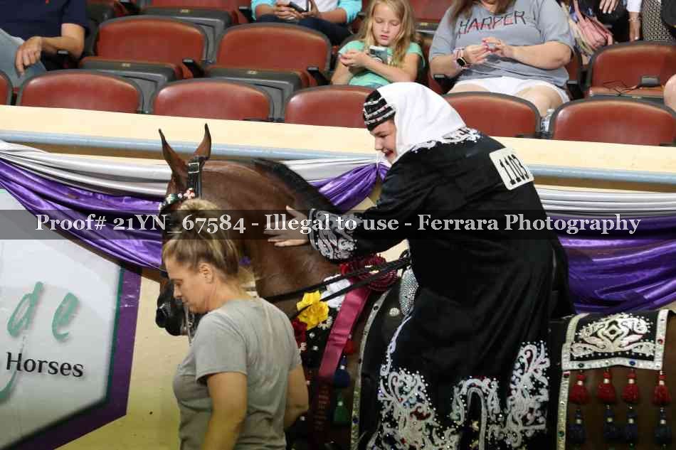 Proof Number 21YN_67584