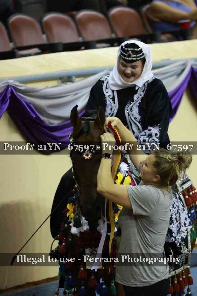Proof Number 21YN_67597
