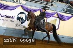 21YN_69658 thumbnail