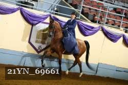 21YN_69661 thumbnail