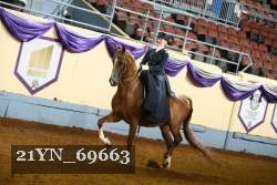 21YN_69663 thumbnail
