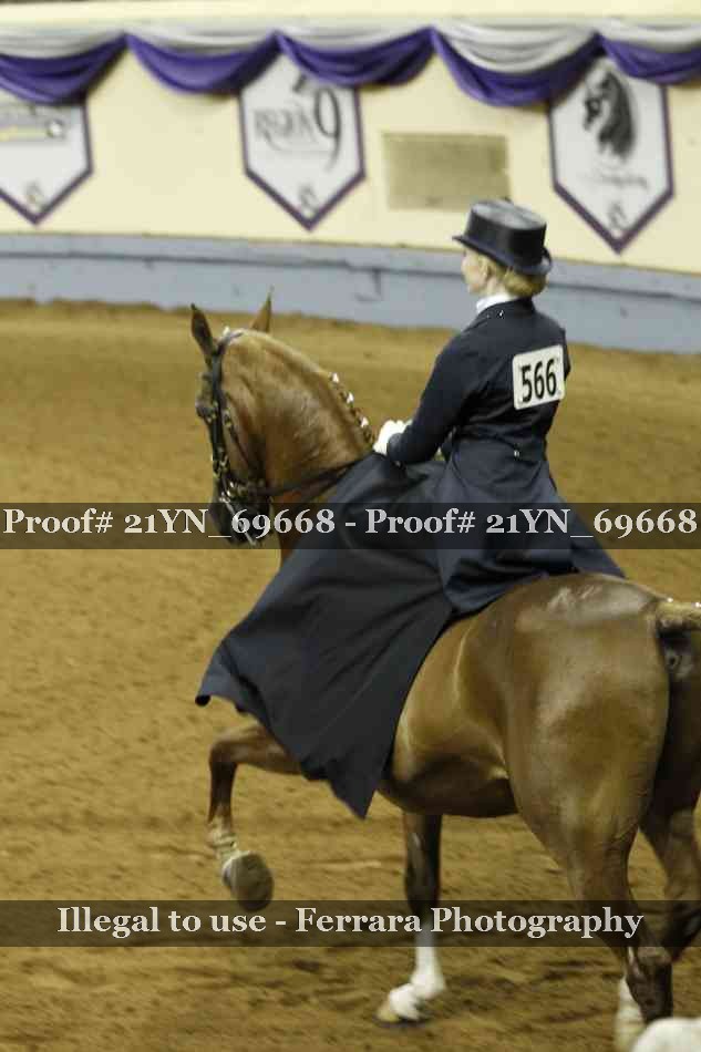 Proof Number 21YN_69668