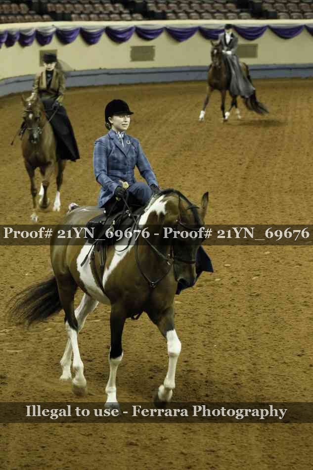 Proof Number 21YN_69676