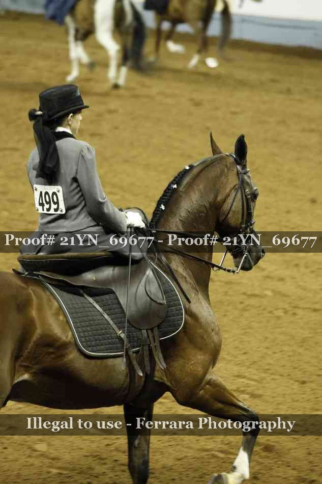Proof Number 21YN_69677