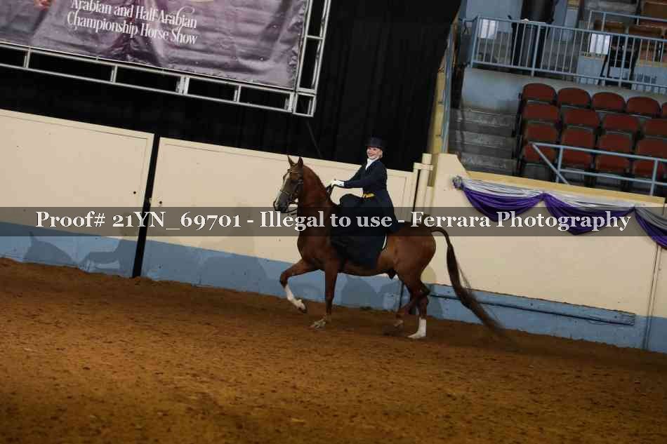 Proof Number 21YN_69701