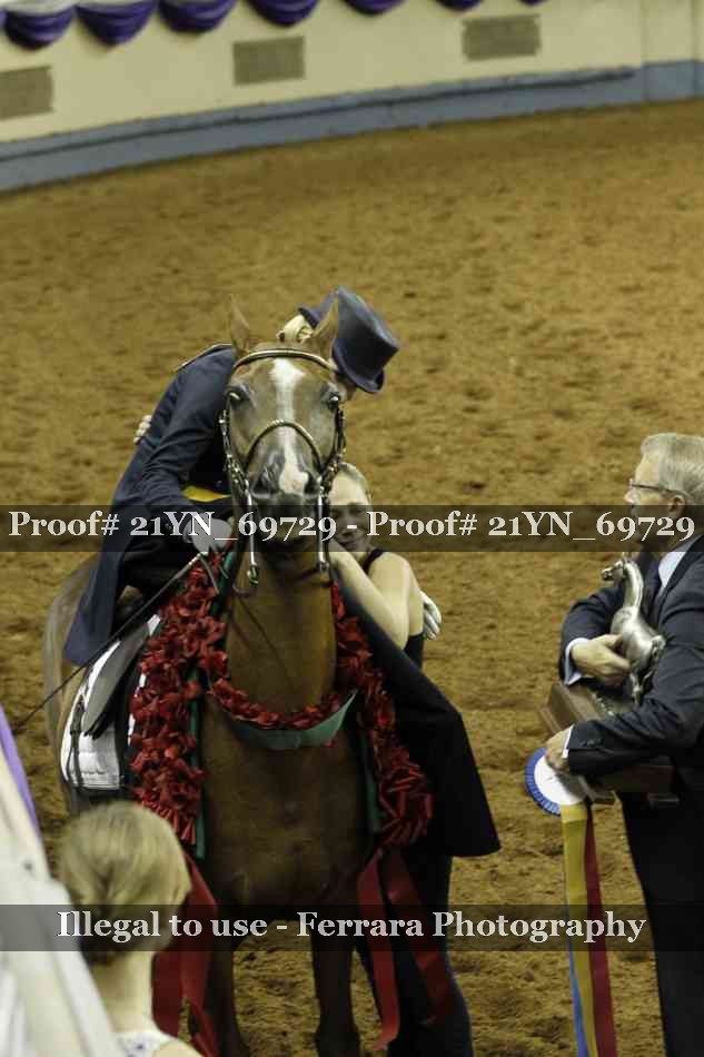 Proof Number 21YN_69729