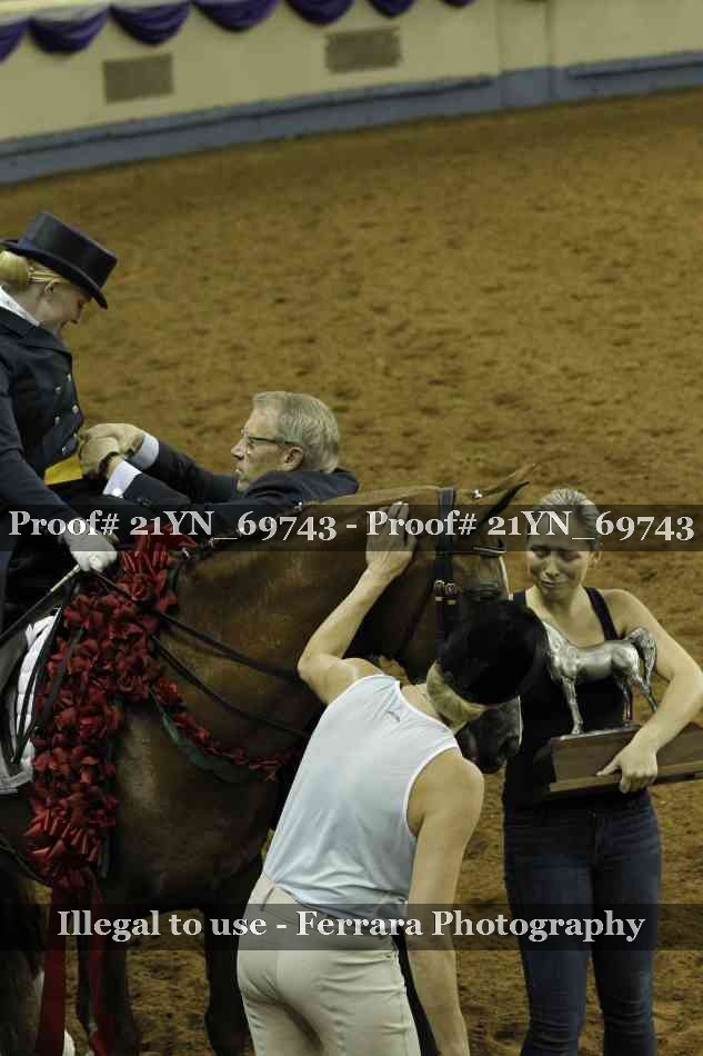 Proof Number 21YN_69743