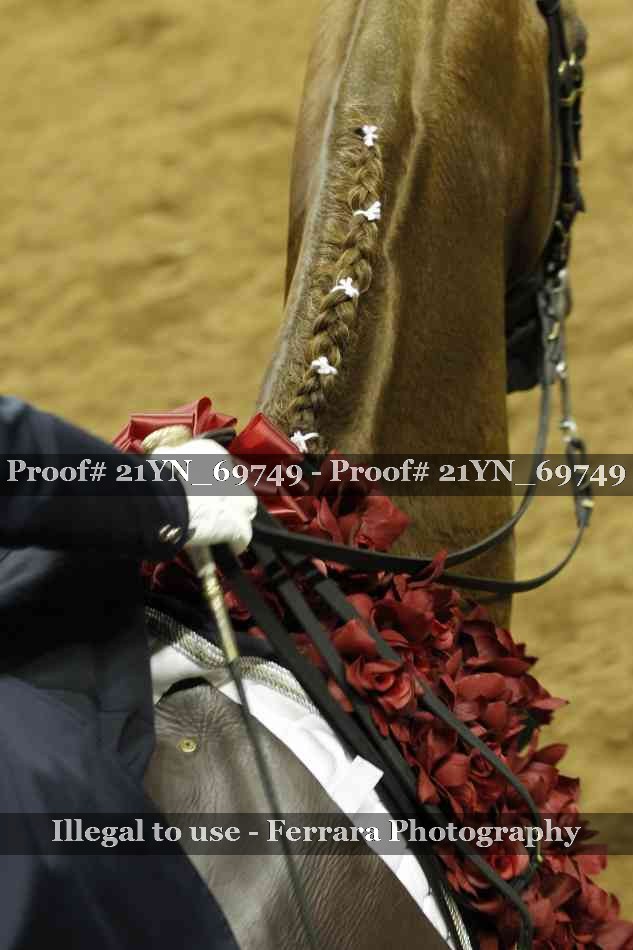 Proof Number 21YN_69749