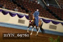 21YN_69761 thumbnail