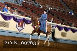 21YN_69763 thumbnail