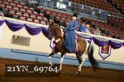 21YN_69764 thumbnail