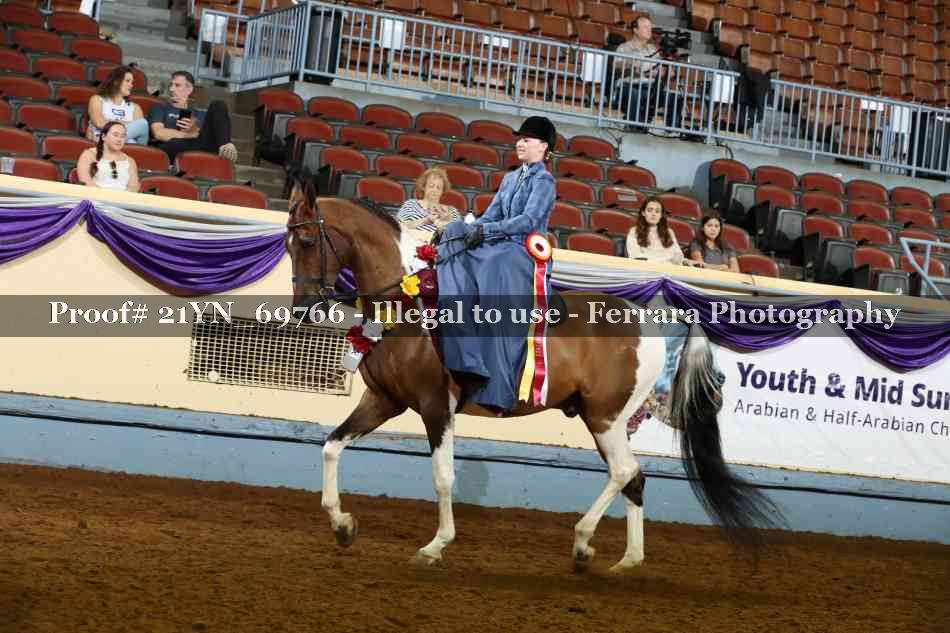 Proof Number 21YN_69766