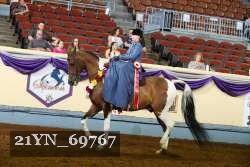 21YN_69767 thumbnail