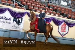 21YN_69772 thumbnail