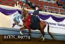 21YN_69774 thumbnail