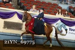 21YN_69775 thumbnail