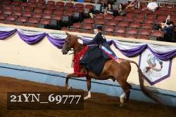 21YN_69777 thumbnail