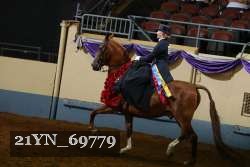 21YN_69779 thumbnail