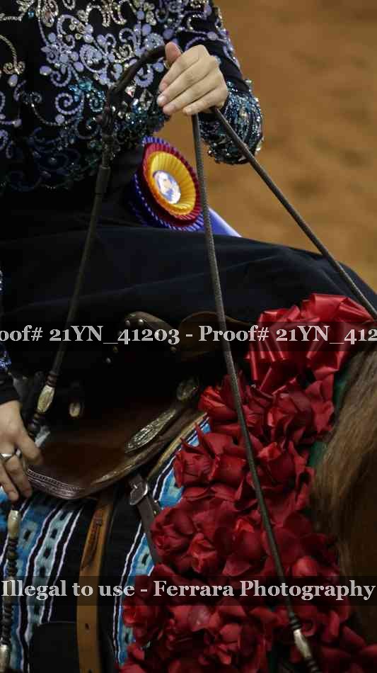 Proof Number 21YN_41203