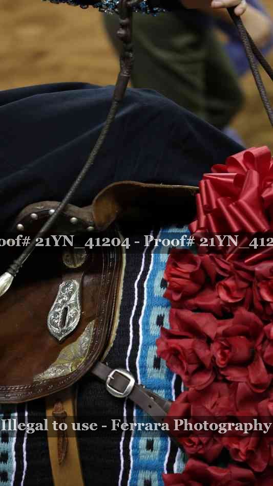 Proof Number 21YN_41204