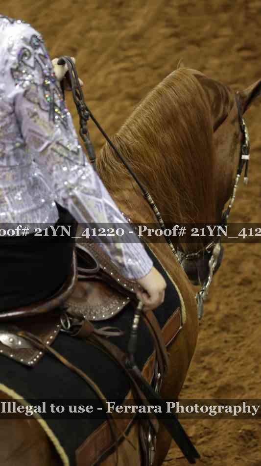 Proof Number 21YN_41220