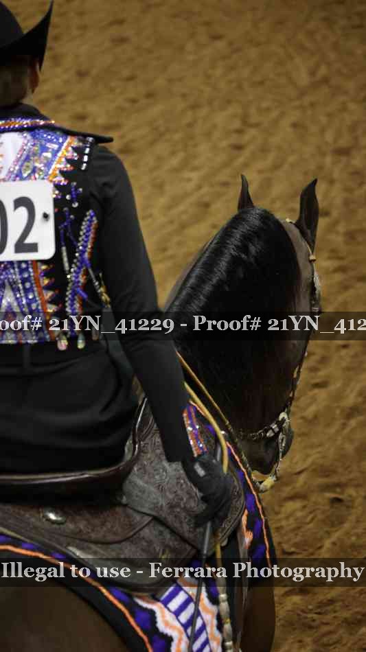 Proof Number 21YN_41229