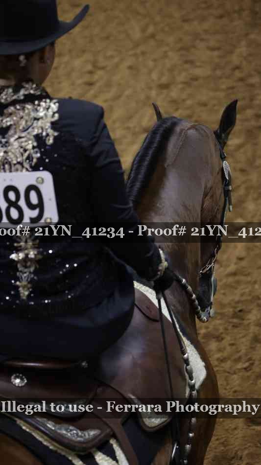 Proof Number 21YN_41234