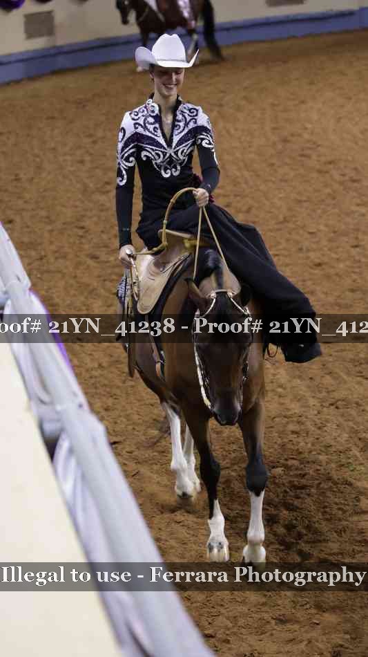 Proof Number 21YN_41238