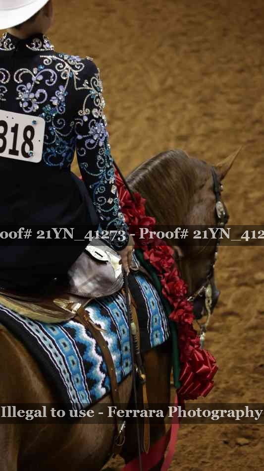 Proof Number 21YN_41273