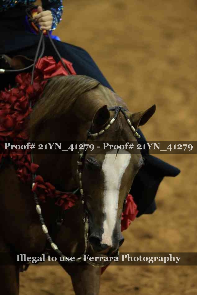 Proof Number 21YN_41279
