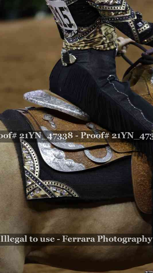 Proof Number 21YN_47338